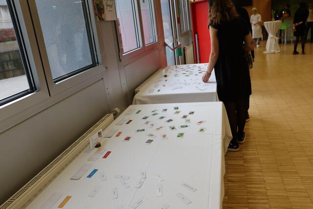 Foto: Elisabeth Mederle