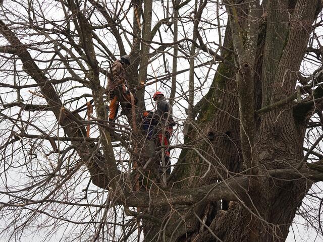 Foto: Christian Rinner