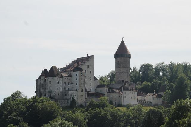 Blick auf die mittelalterliche Burg Clam. | Foto: BRS/Köck