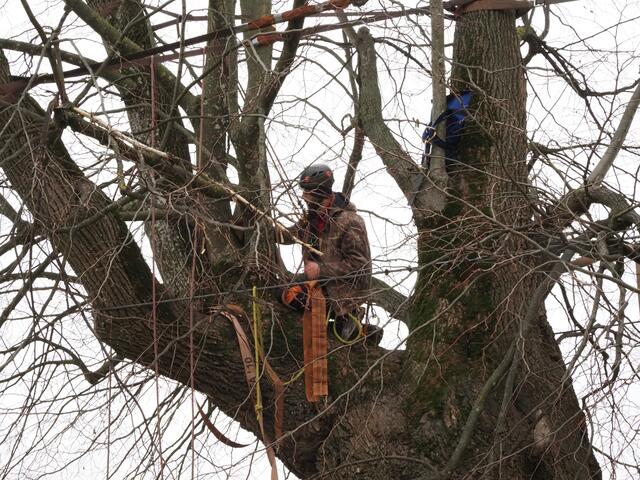 Foto: Christian Rinner