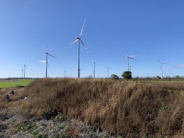 Drei Windräder wurden im Zuge des Repowering in Gols neu installiert. | Foto: W.E.B