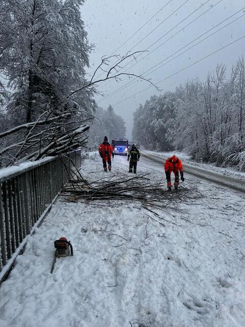 Foto: Feuerwehren des BFVDL
