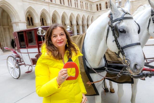 "Danke an alle Beteiligten für die gute Zusammenarbeit und die intensive Vorbereitung des Förderangebots", zeigt sich Sima dankbar. | Foto: PID/Christian Fürthner