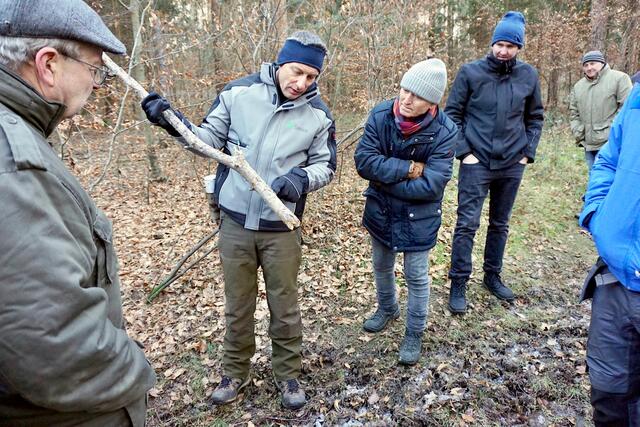 Klement Moosbacher zeigt den Exkursionsteilnehmern den starken Mistelbefall und die Narben der Hageltreffer an den Ästen einer teils abgestorbenen Föhrenpopulation. | Foto: KLAR! Naturpark Pöllauer Tal