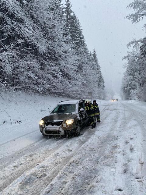 Foto: Feuerwehren des BFVDL