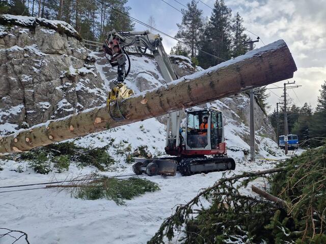 85 Bäume mussten auf der Bergstrecke entfernt werden. | Foto: Niederösterreich Bahnen/Schagerl