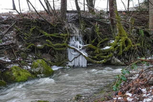 In Steinholz landete ein Pkw-Lenker im Bachbett, nachdem er auf der spiegelglatten Fahrbahn die Kontrolle über sein Fahrzeug verloren hatte. | Foto: Doku NÖ