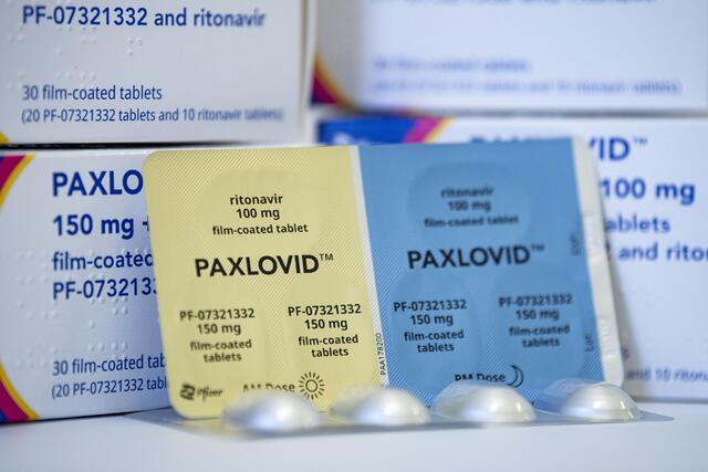 Rauch fordert von Apotheken nun Belege, wenn sie Paxlovid ausgeben. | Foto: Fabian Sommer / dpa / picturedesk.com