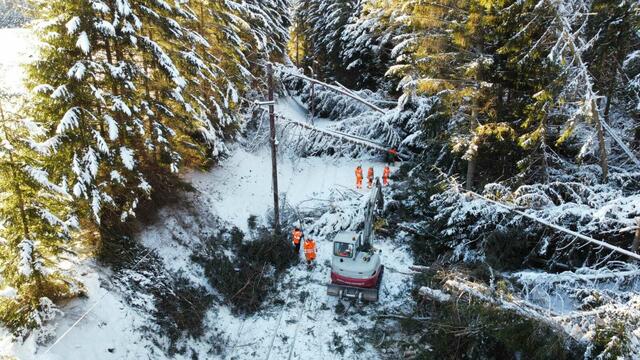 85 umgestürzte Bäume haben die Strecke der Mariazellerbahn zwischen Laubenbachmühle und Mariazell schwer beschädigt. | Foto: NB/Danner