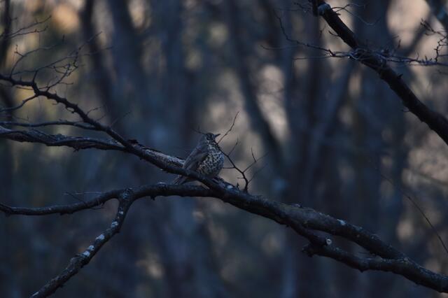 Foto: Jasmin Jung