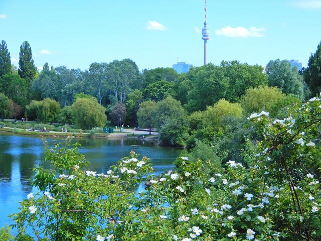 Blick auf den Wasserpark, im Hintergrund ist der Donauturm zu sehen