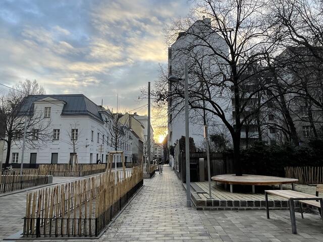Der Johannes-Diodato-Park wurde im Zuge der Umgestaltung durch neue Bäume, Grünbeeten und Straßenpflasterungen mit dem Vorplatz der NMS Schäffergasse verbunden. Auch die Gehsteige wurden auf Höhe der Fahrbahn angehoben.  | Foto: Salme Taha Ali Mohamed