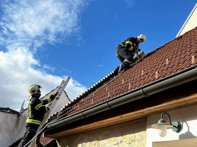 Die Feuerwehr St. Margarethen wurde zu eine tierischen Rettungsaktion im Ortsgebiet gerufen.  | Foto: FF St. Margarethen 