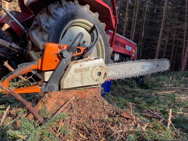 Foto: TEAM FOTOKERSCHI.AT / KALTENLEITNER