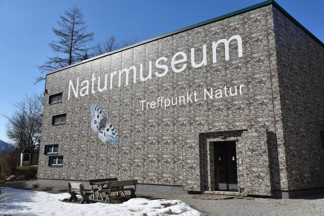 Das Naturmuseum bietet interessante Einblicke. | Foto: Wilfried Fischer