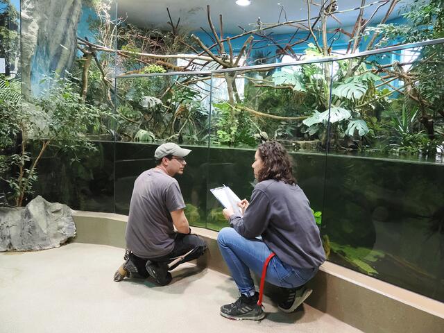 Die Erfassung des gesamten Tierbestandes im Zoo Salzburg wird jedes Jahr während der ruhigeren Jahreszeit, also im Winter, durchgeführt. | Foto: Zoo Salzburg