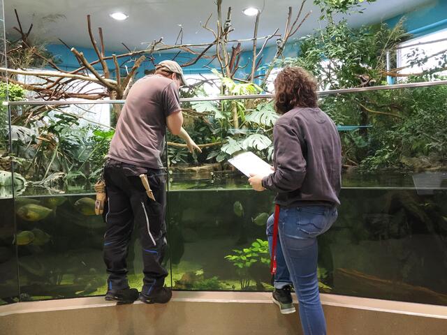 Vor kurzem wurden wieder die Tiere im Zoo Salzburg gezählt. | Foto: Zoo Salzburg