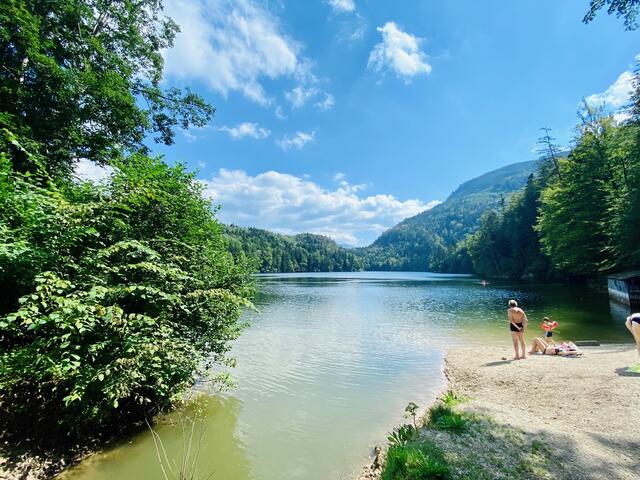 Der Nussensee im Sommer, nur wenige Minuten von Bad Ischl entfernt. | Foto: Philipp Gratzer