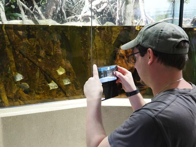 Kürzlich fand die tierische Inventur im Zoo Salzburg statt. | Foto: Zoo Salzburg