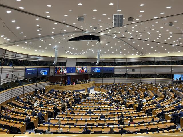 Plenarsitzung des EU-Parlaments anlässlich des Internationalen Holocaust-Gedenktags.