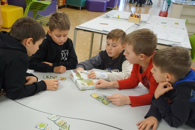 Foto: Helmut Eder