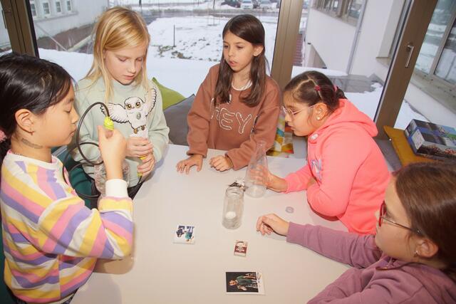 Foto: Helmut Eder
