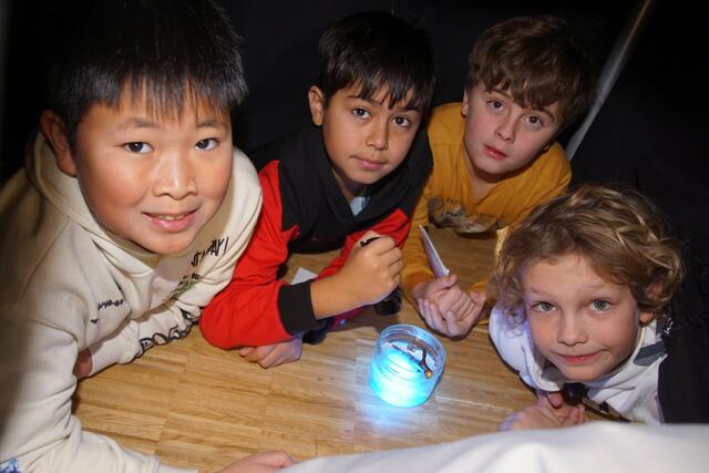 Die Schüler der 3.C Klasse der Volkschule -Rohrbach Berg erforschten begeistert  die "Superkräfte der Bäume" bei den einzelnen Stationen.  | Foto: Helmut Eder