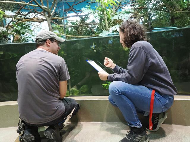 Manche Tiere werden täglich erfasst. | Foto: Zoo Salzburg