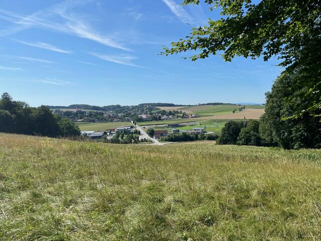 Roswitha Resch, Pyhra: "Da wir das Glück haben, in einer landschaftlichen wunderschönen Gemeinde zu wohnen, laden 'Tut Gut!'- Wanderwege zu weiteren Aktivitäten ein." | Foto: Marktgemeinde Pyhra