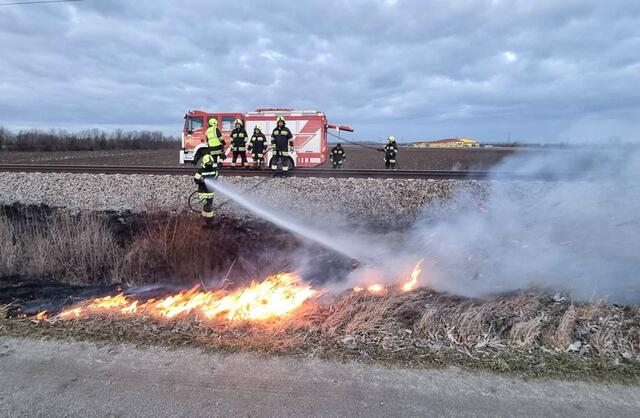 Vier Feuerwehren waren beim Brandeinsatz. | Foto: DOKU-NÖ