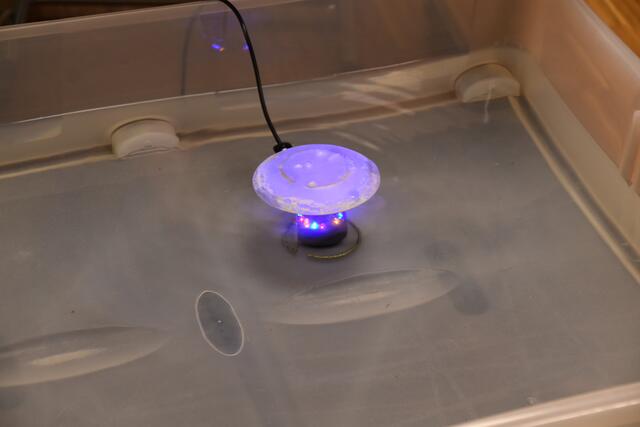 Foto: Michael Strini