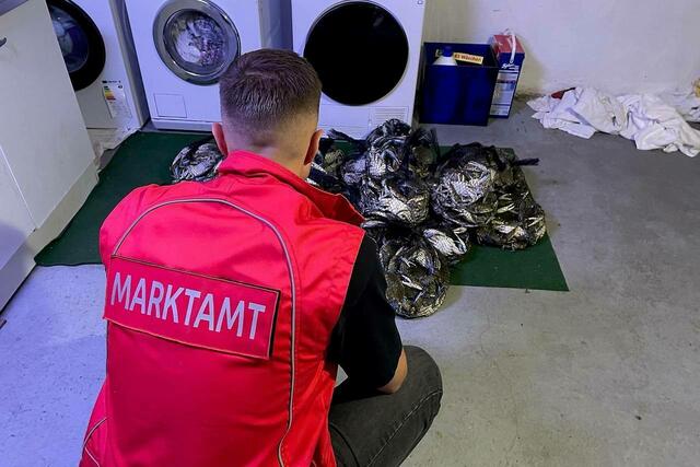 Dutzende Krebse, zwischen Leintüchern versteckt, und Hunderte weitere Kilos an Krustentieren entdeckten Marktsamtsmitarbeiter bei einer Kontrolle eines Massagesalons. | Foto: Marktamt Wien