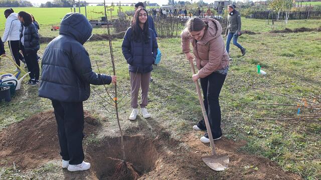 Das gemeinsame Pflanzen am Laaerberg. | Foto: Agenda Favoriten