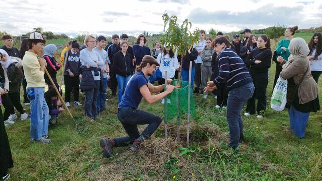 Gemeinsam wurden die ersten Obstbäume gepflanzt. | Foto: Agenda Favoriten