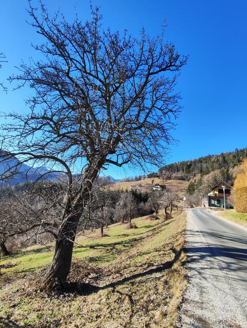 von da sind wir gekommen, der Bahnwanderweg ist sehr gut beschildert... | Foto: I.Wozonig