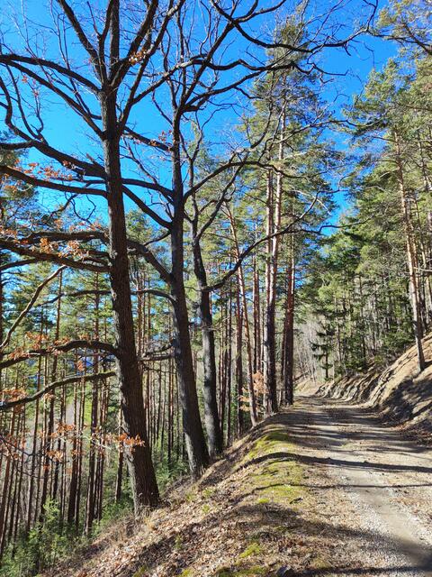 ich stelle es mir hier an heißen Sommertagen sehr angenehm vor... | Foto: I.Wozonig