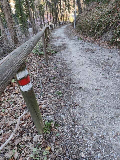 Ein kurzer Fußweg führt in die Stadt hinunter... | Foto: I.Wozonig