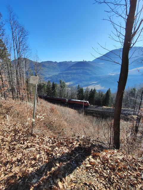erstmals in der Nähe der Bahnstrecke... | Foto: I.Wozonig