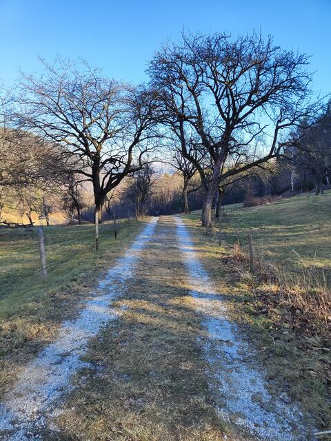 Achtung auf die Markierung, und jetzt geht es ziemlich steil einen Waldweg hinunter... | Foto: I.Wozonig