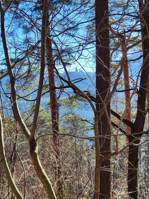 ...auch hier zwischen den Ästen erkennbar... | Foto: I.Wozonig