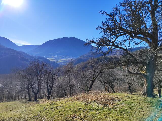 Blick zum Sonnwendstein und die Brücke über Schottwien... | Foto: I.Wozonig