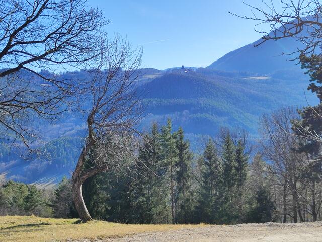 Burg Wartenstein trohnt visavis am Berg... | Foto: I.Wozonig