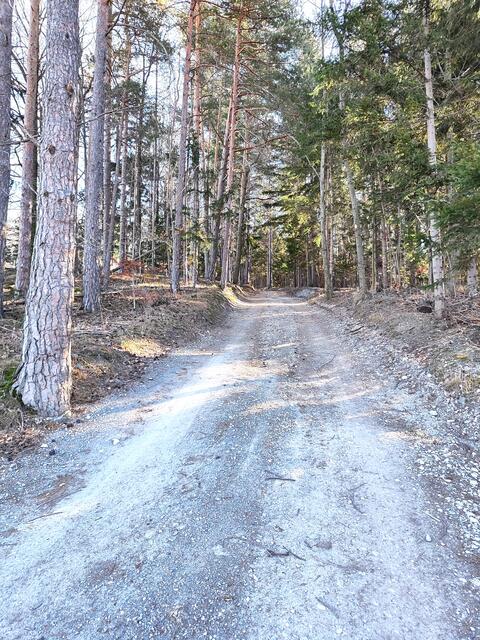 so einen gemütlichen Waldweg entlang geht es gemütlich einige Zeit dahin... | Foto: I.Wozonig