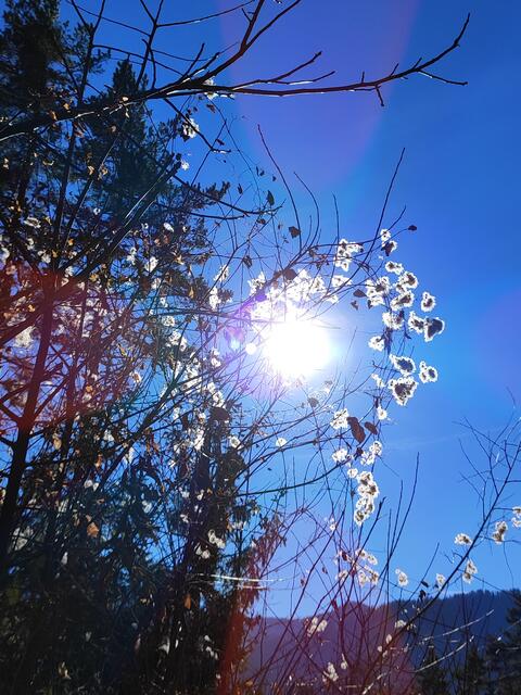 die Natur zeigt uns so viel Schönes... | Foto: I.Wozonig