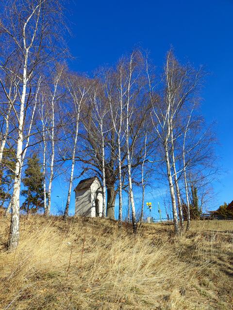 bei dieser Kapelle gabelt sich der Weg, man kann den Weg nach Payerbach oder nach Gloggnitz weitergehen... | Foto: I.Wozonig