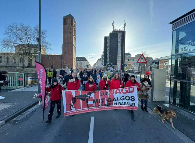 Gut Aiderbichl hat sich am vergangenen Wochenende beim Galgo-Marsch in Köln für die Rechte der spanischen Windhunde eingesetzt. | Foto:  Karl Pfleging