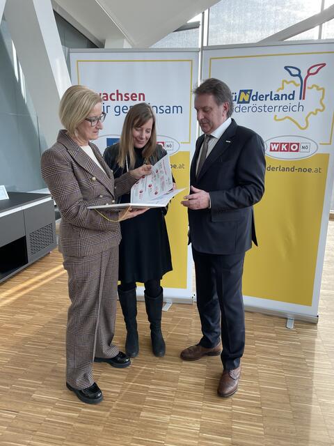 Das Land NÖ, Riz up sowie die Wirtschaftskammer unterstützen bei Unternehmensgründungen. | Foto: Victoria Edlinger