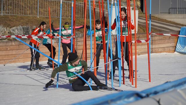Wer sich im "Stangenwald" nicht zurechtfindet, kann sehr viel Zeit verlieren. | Foto: Johannes Brandner