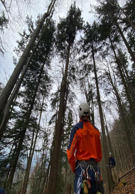 Ein 37-Jähriger stürzte beim Paragleiten am Gaisberg ab und musste aus den Bäumen gerettet werden. | Foto: Bergrettung Salzburg