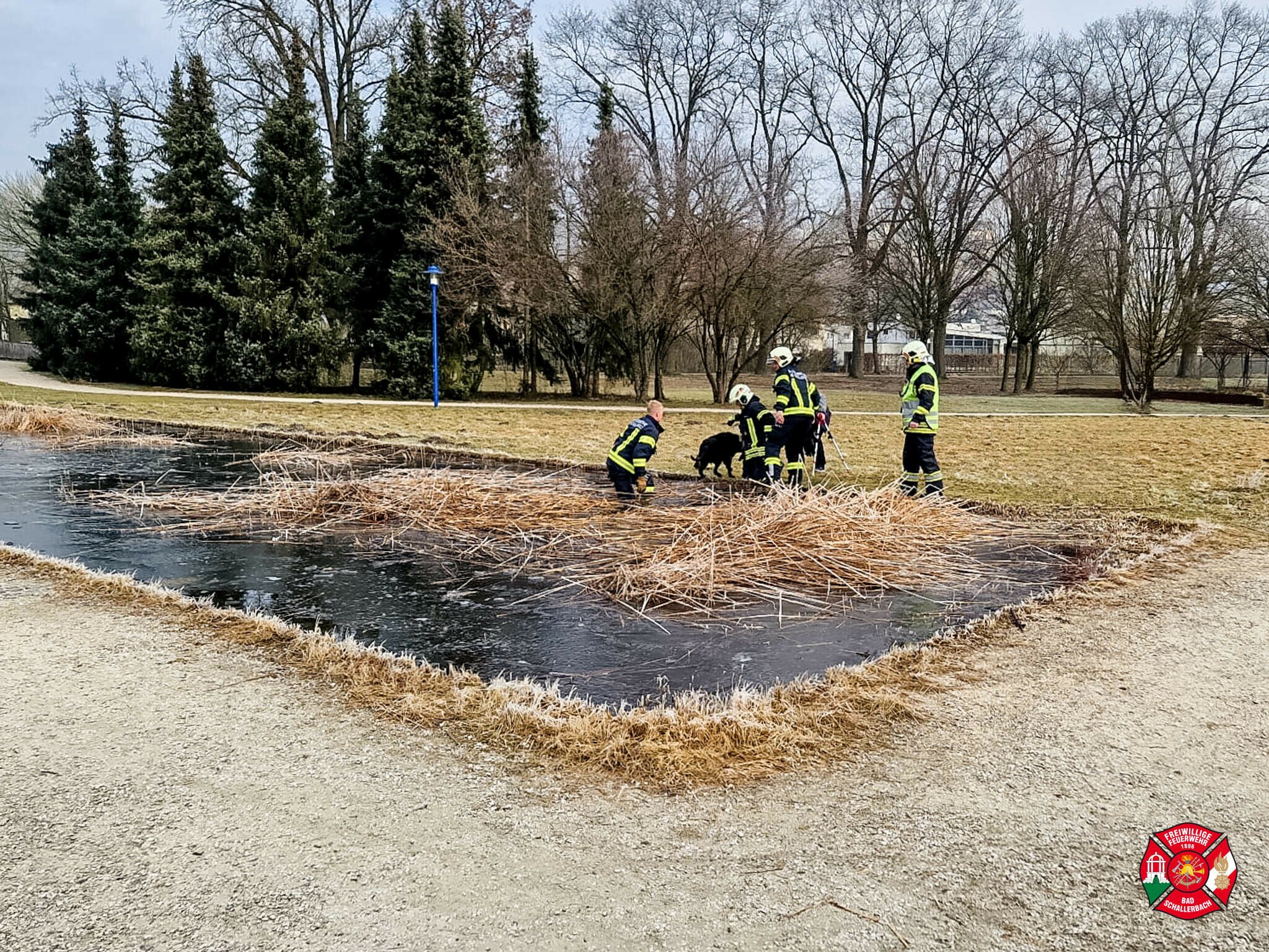 Feuerwehreinsatz Bad Schallerbach Hund aus zugefrorenem Teich gerettet